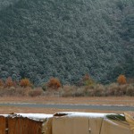 朝の積雪したコース。